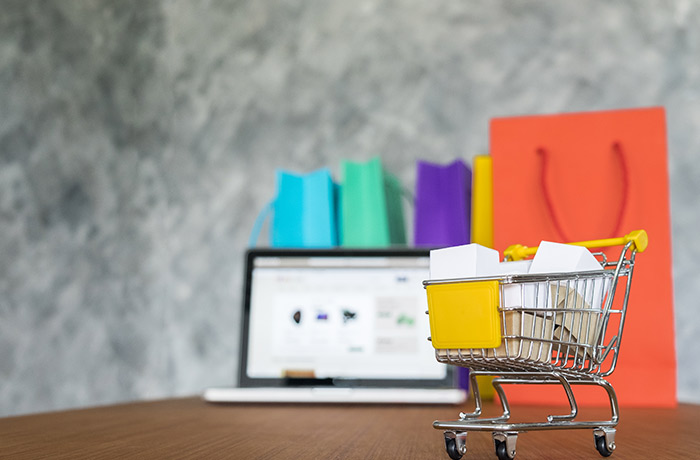 E-Ticaret Hizmetleri