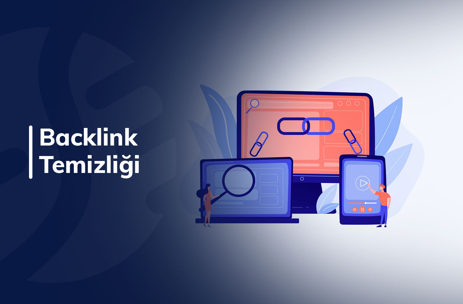 Backlink Temizliği